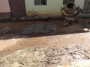 Guiricemenses fazem mutirão para tapar buracos no Taquaruçu Guiricemenses fazem mutirão para tapar buracos no Taquaruçu
