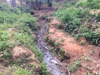 Limpeza do córrego do Taquaruçu é cobrado mais uma vez