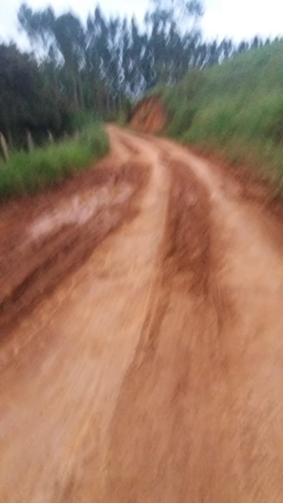 Parlamentar cobra manutenção de estrada no Evangelândia