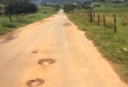 Recapeamento da estrada de Vilas Boas é cobrado do Executivo Recapeamento da estrada de Vilas Boas é cobrado do Executivo