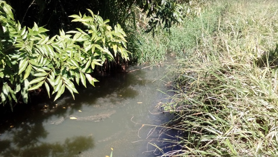 Reunião Ordinária debate qualidade da água em Vilas Boas e Dom Silvério