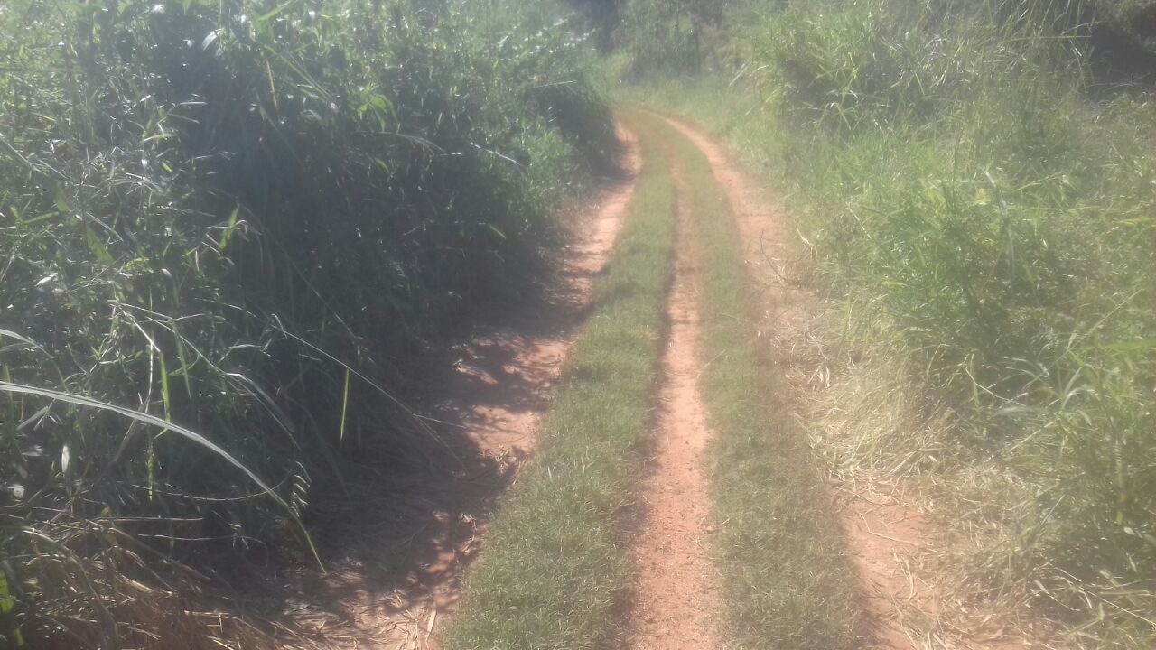 Vereador cobra melhorias em estradas rurais