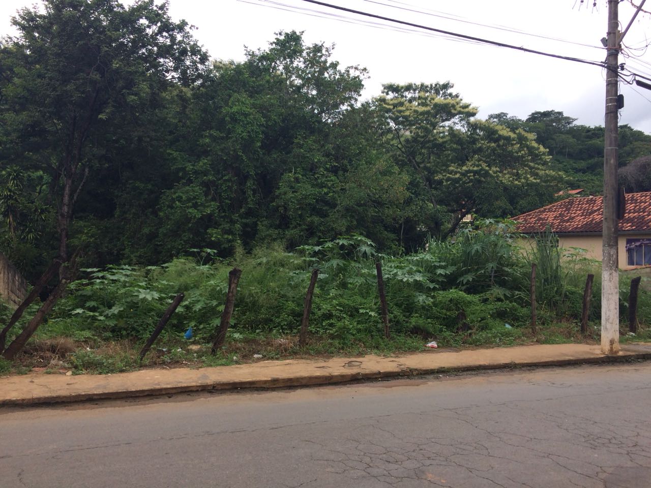 Vereador cobra por notificação de donos de lotes abandonados